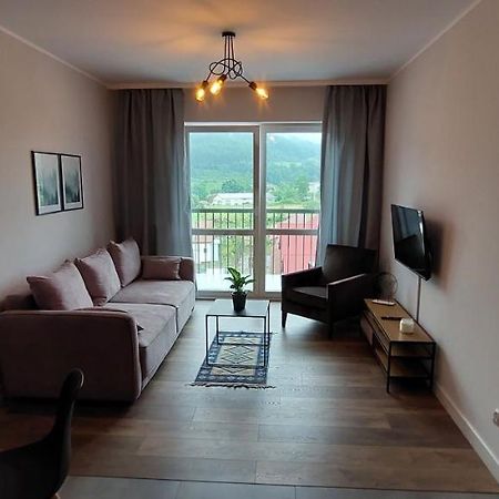 Apartamenty W Bieszczadach ウストシキ・ドルネ エクステリア 写真